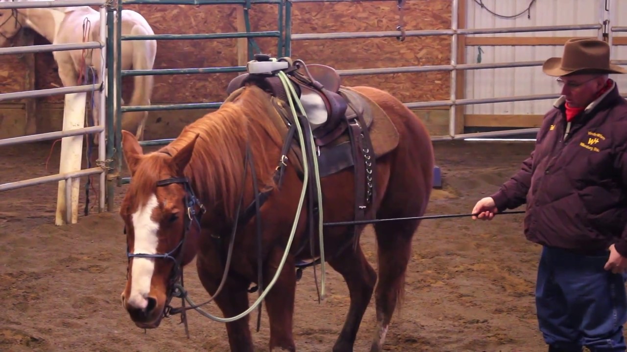 Teaching Your Horse To Side Pass