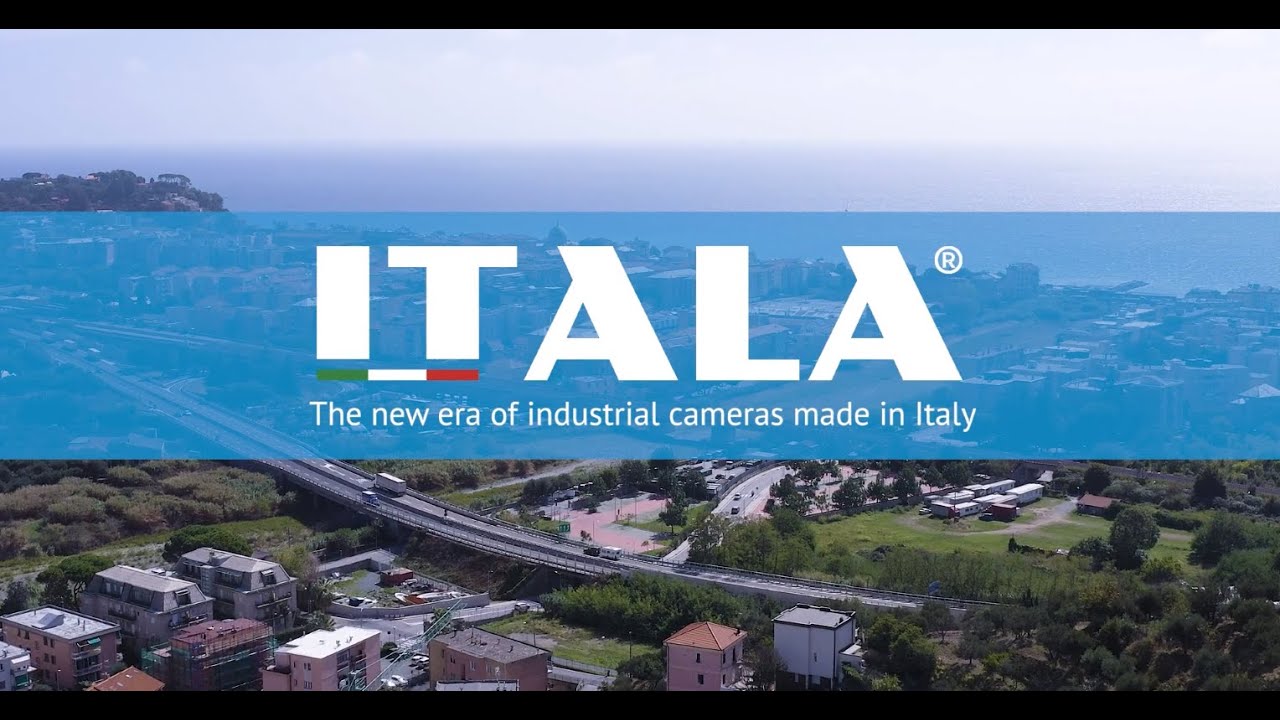 ITALA® cameras for high performance fasteners sorting machines