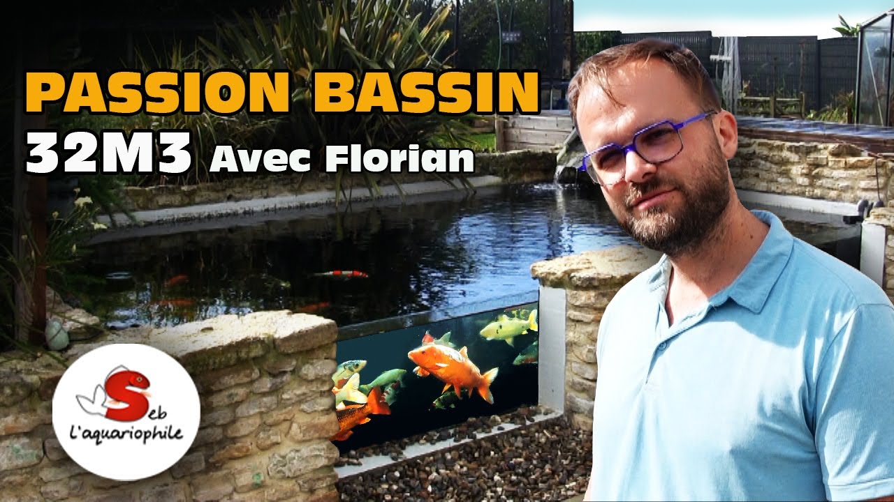Florian a construit un bassin de 32 000 litres avec des vitres pour voir les poissons ! 🔥