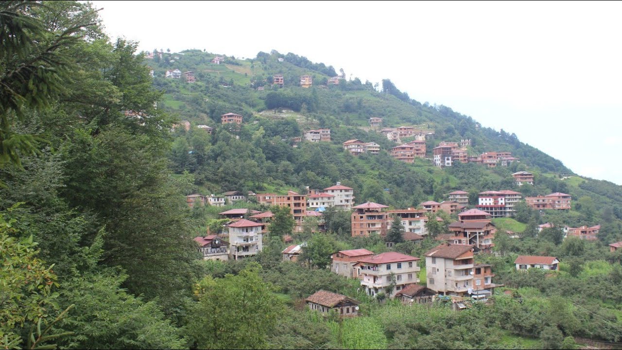 Araklı Yeşilköy (Goga) Köyü Tanıtım Videosu