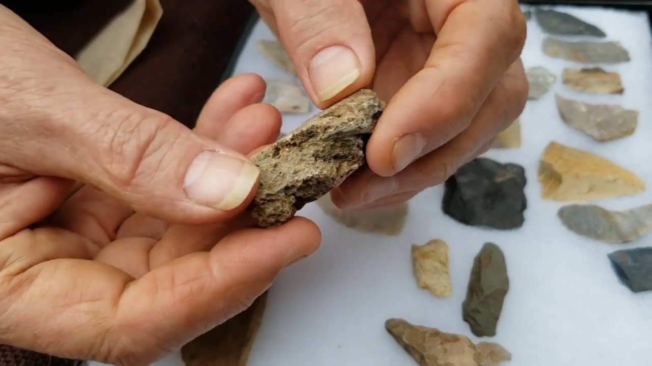 Подземные сокровища на месте раскопок @ Field Archaeology 101