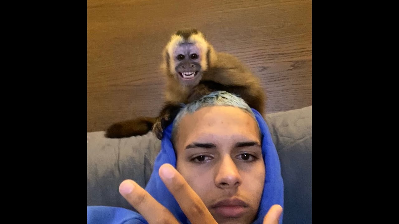 Mc Rick - Tu vai plug 🔌🔌 (prod. offkxio)