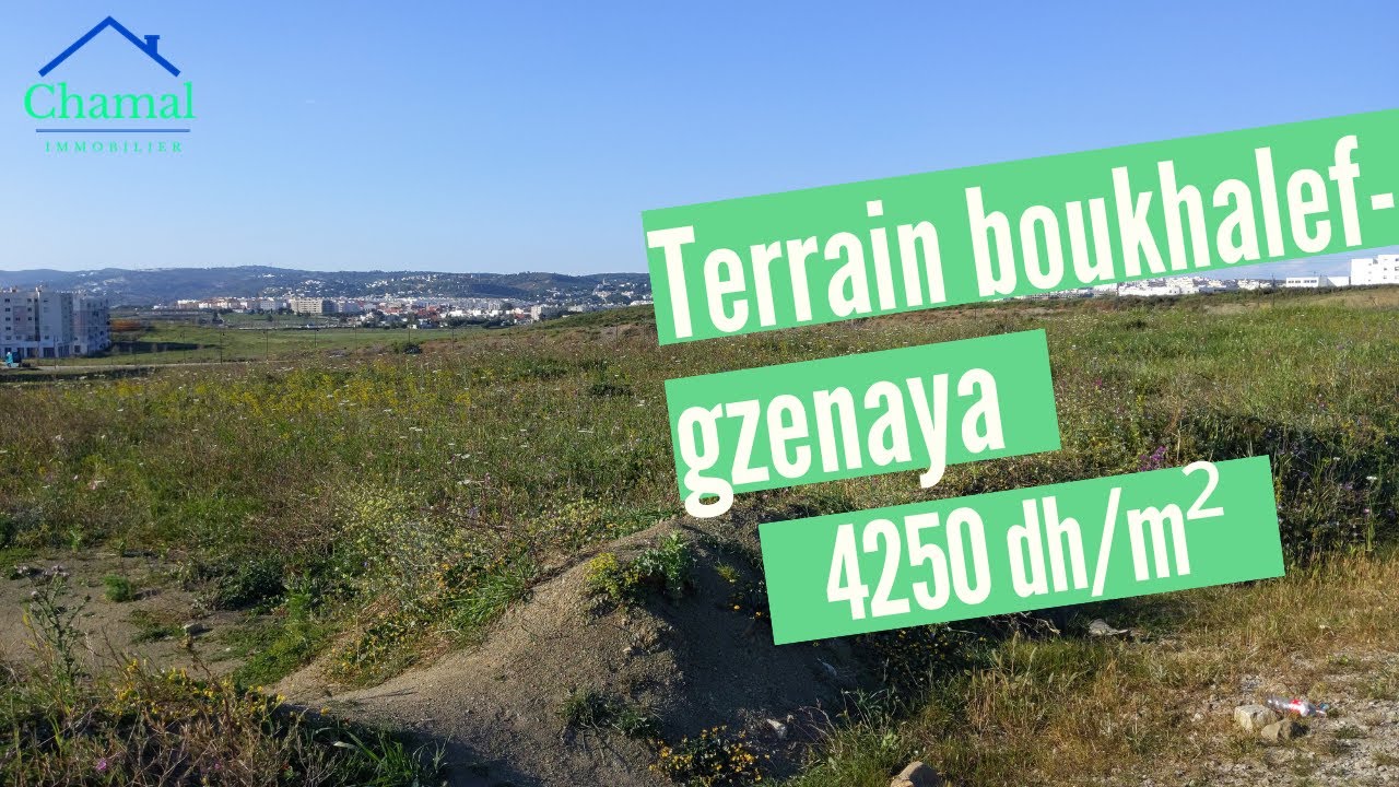 Ard Boukhalef- Gzenaya Terrain A vendre 6699 m²