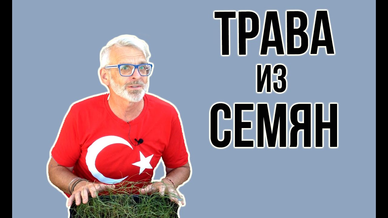 Размножение декоративных трав семенами / Игорь Билевич
