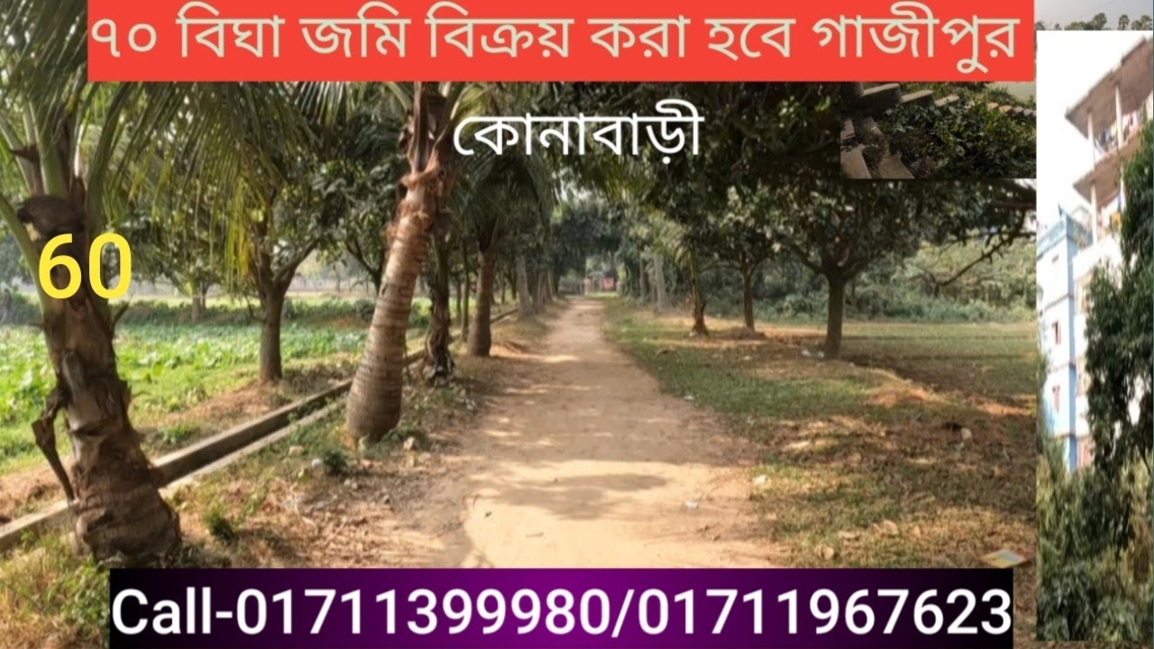 Land for sale | House sale | jomi Bikri | জমি বিক্রি | ৭০ বিঘা জমি বিক্রয় করা হবে | গাজীপুর কোনাবাড়ী
