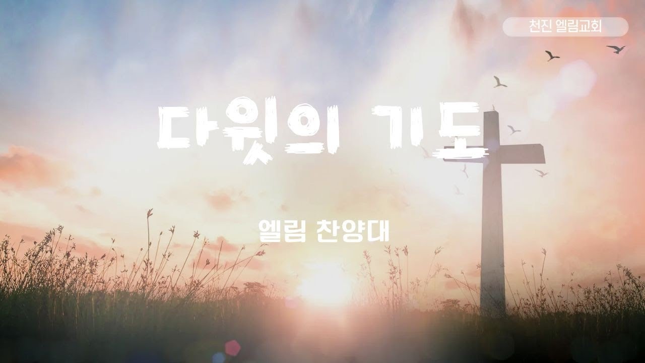 [엘림찬양대] 다윗의 기도_250914