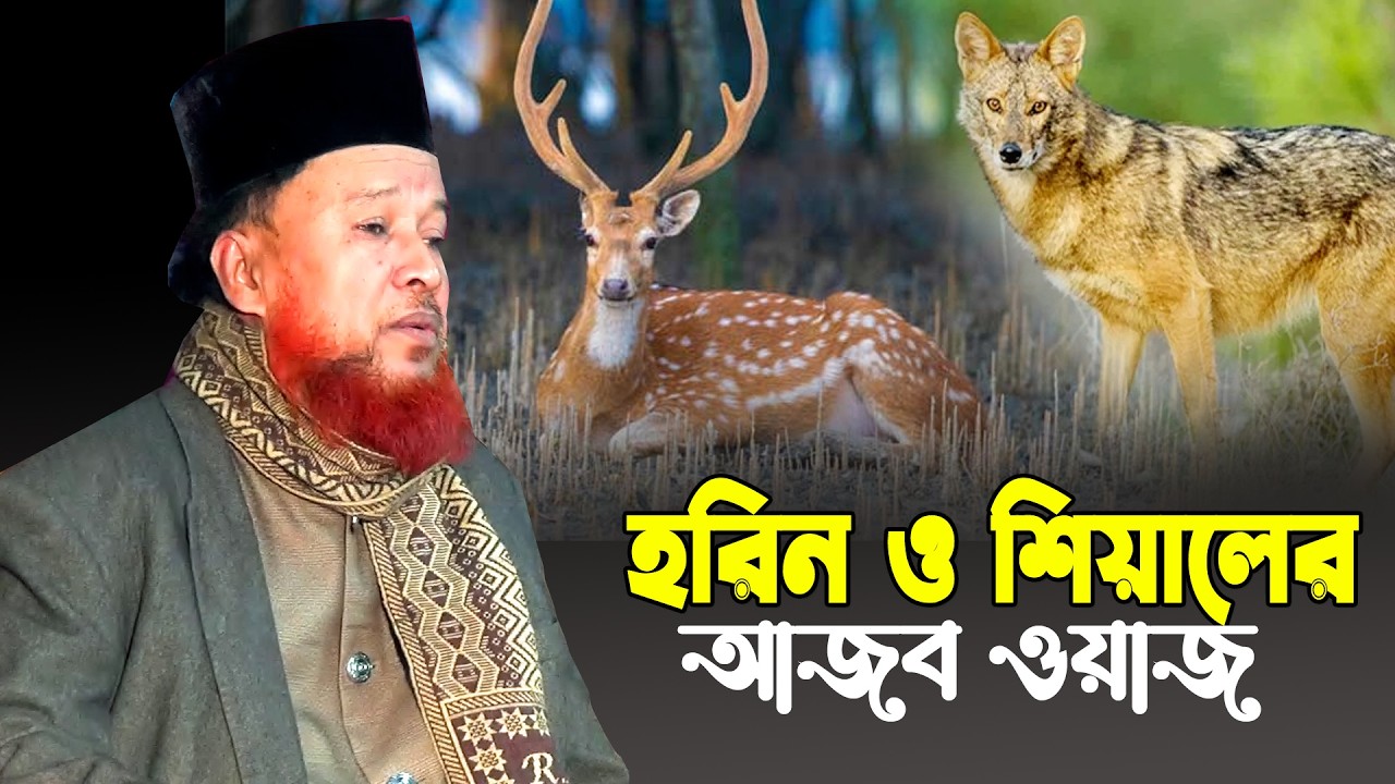 হরিন ও শিয়ালের আজব ওয়াজ | পীর মুফতি আব্দুর রহমান রেজবী | New Bangla Waz 2026 | ঈমানী গর্জন