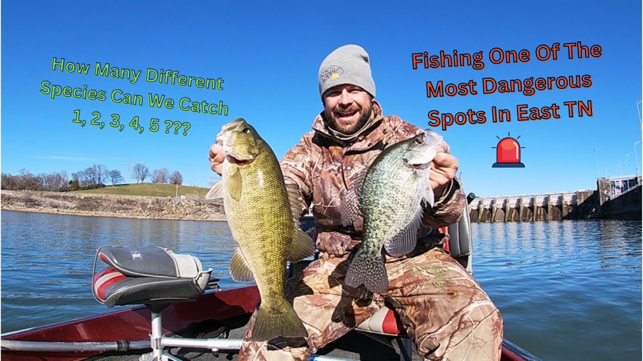 ⚠️ Fishing One Of The Most Dangerous ⚠️ Places In East Tn | How Many Different Species Can We Catch❓