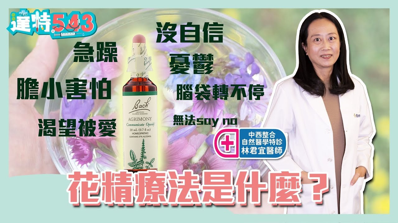 #花精療法 是什麼？急躁. #憂鬱 .沒自信竟都能緩解！【達特543】| 黃丹尼 ft. 秀傳紀念醫院 中西整合自然醫學特診 林君宜醫師【543男方基地】