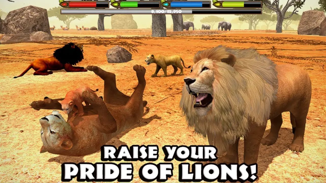 Ultimate Lion Simulator Android Gameplay #1