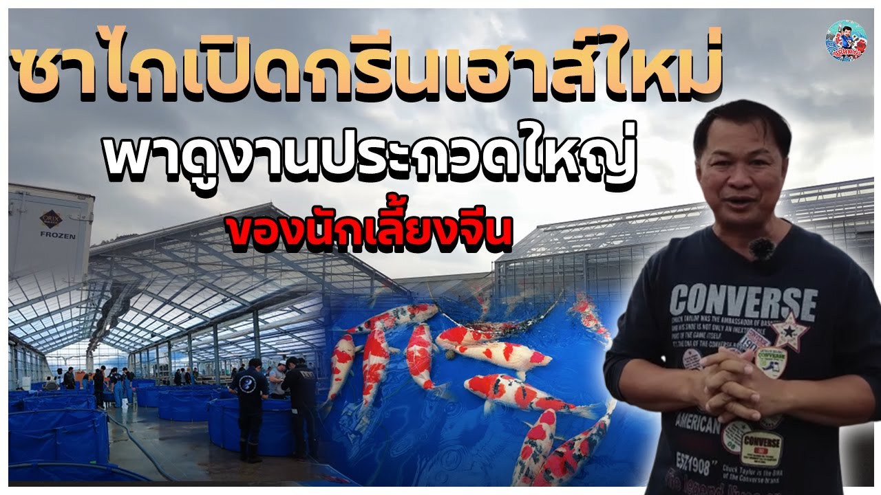บุกชม Greenhouse แห่งใหม่ของซาไก! พร้อมงานประกวดปลาคาร์ปจีนสุดยิ่งใหญ่