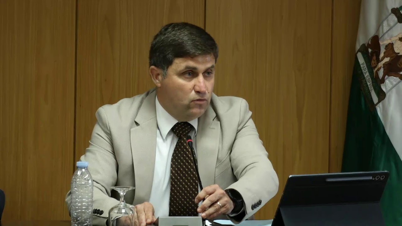 pleno 2025 abril 2