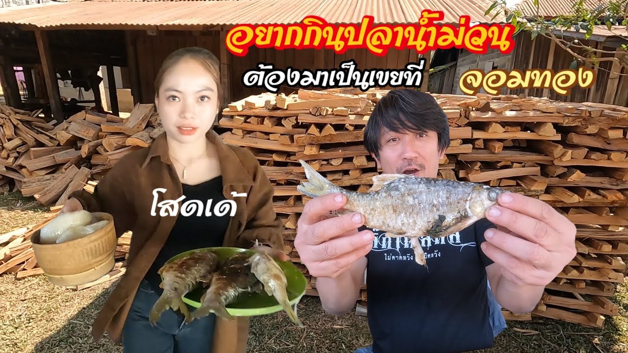  ep18🇱🇦มาเป็นเขยจอมทอง​ จะได้กินแต่ปลาสดๆนะ.. 