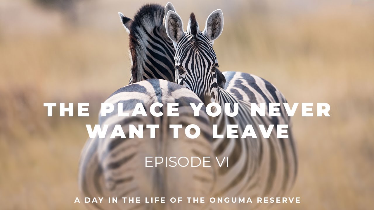 Episode 6 - The Place You Never Want To Leave ⏐ A Day In The Life Of The Onguma Reserve
