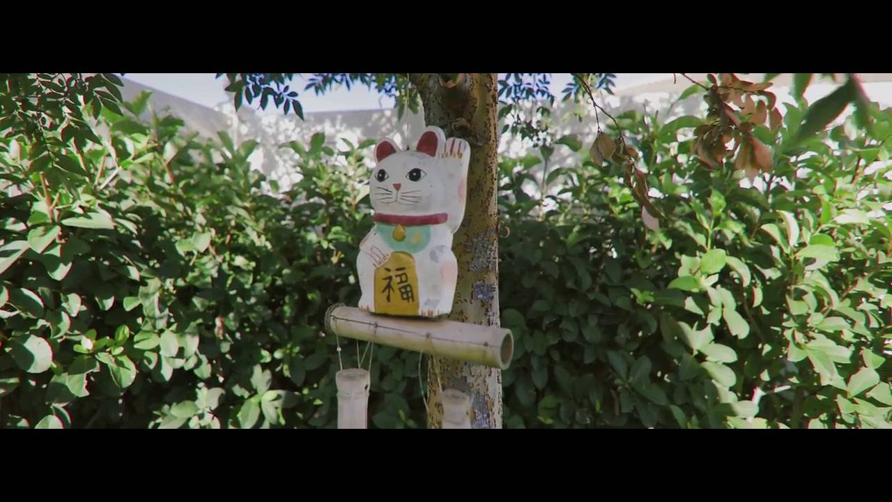 4K - Canon EOS 5D Mark IV, 4, 5Dmk4, 5D4, Tokina 11-16 2.8 Lens Test
