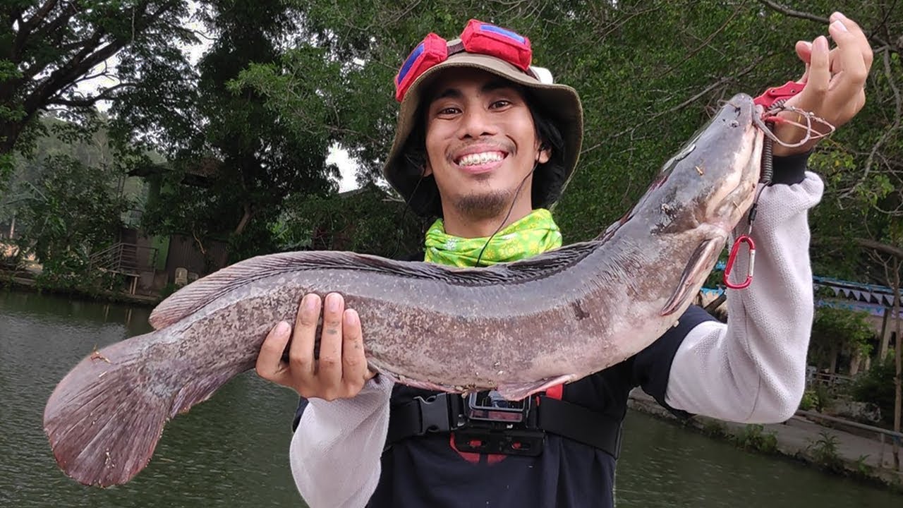 Caught a BIG Catfish! - Fishing in The Philippines