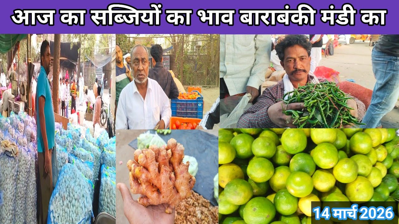 March 14, 2026 Barabanki 🥰 आज का सब्जियों का भाव बाराबंकी मंडी का 💯 sabji mandi bhav 🍅 Mandi news 