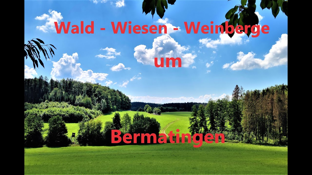 Wandern am Bodensee - Durch die Weinberge, Wald und Wiesen von Bermatingen(2020, 4k)