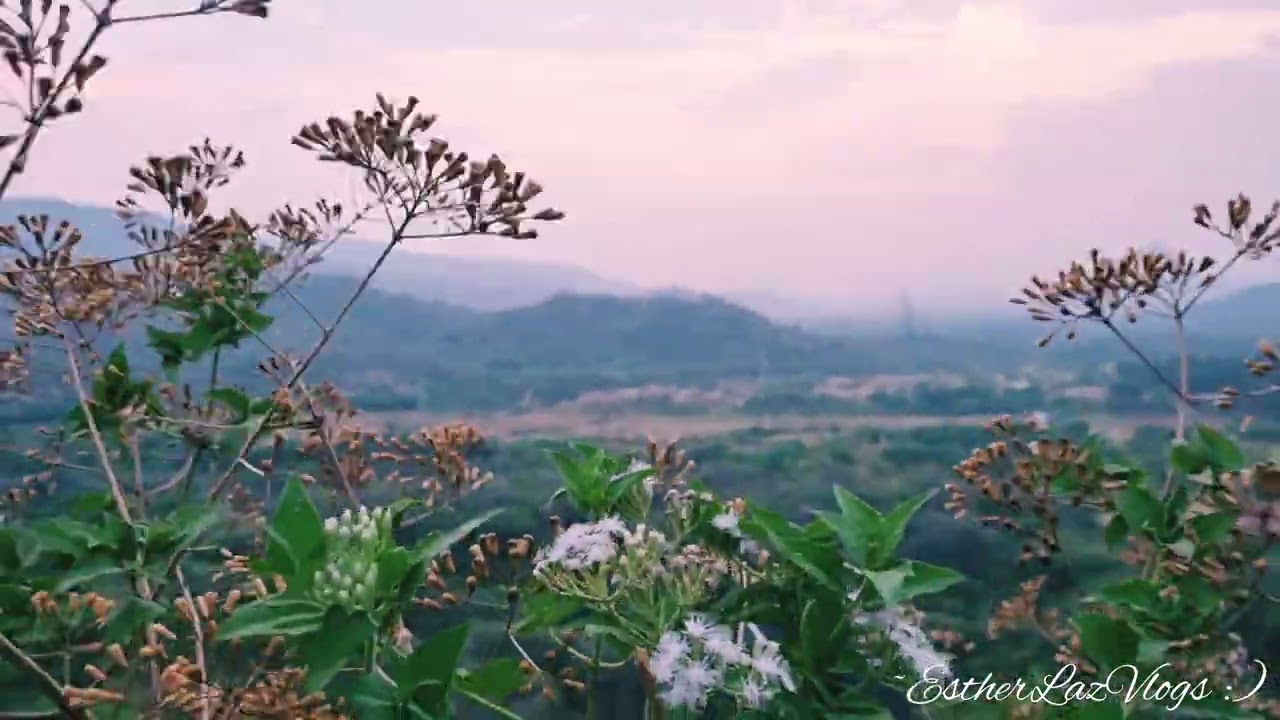 A Pleasant evening ❤ #traveldiaries #happydays #beautifuldestination #naturelover #hyperlapse