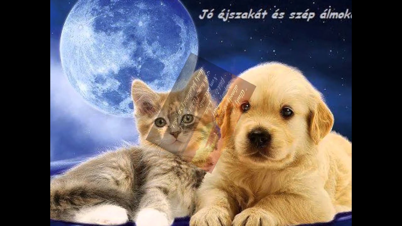 Jó éjszakát, szép álmokat! (Tücsikémnek)