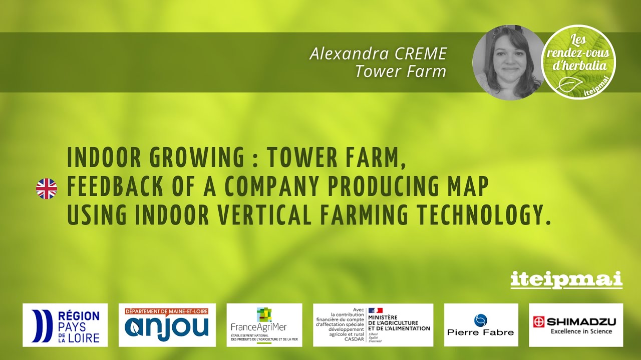 26 Tower Farm, feedback of a company producing MAP using indoor vertical farming technology.