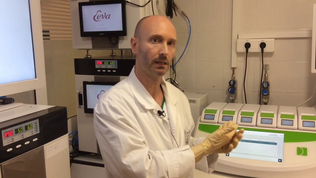 Time Lapse (Geri - Embryoscope - Eeva)