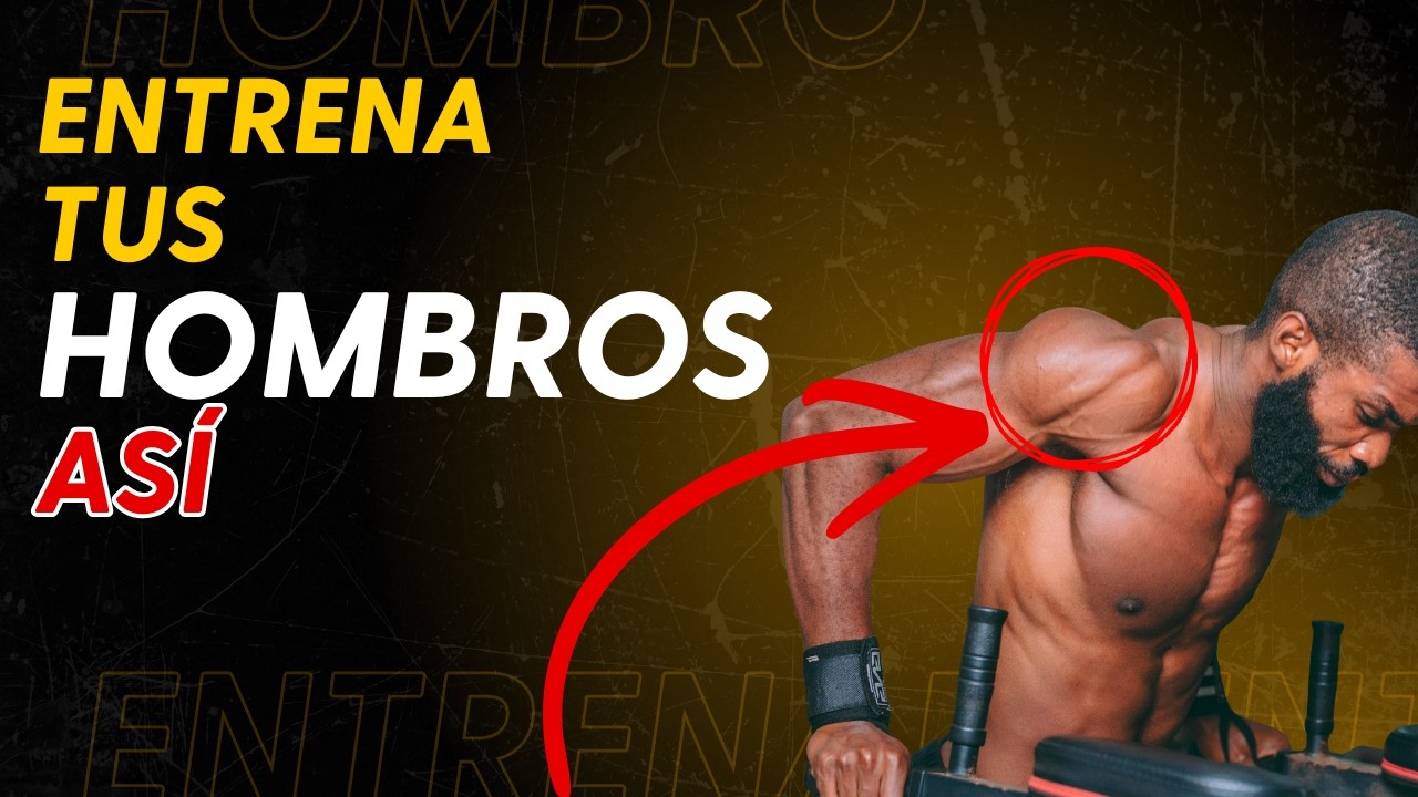 Mejores EJERCICIOS de HOMBRO según la ciencia por partes