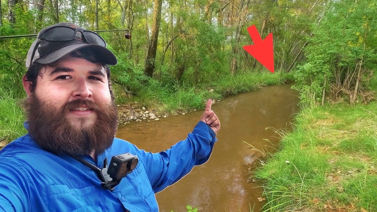 Exploring & Fishing a Tiny Creek for RARE Fish