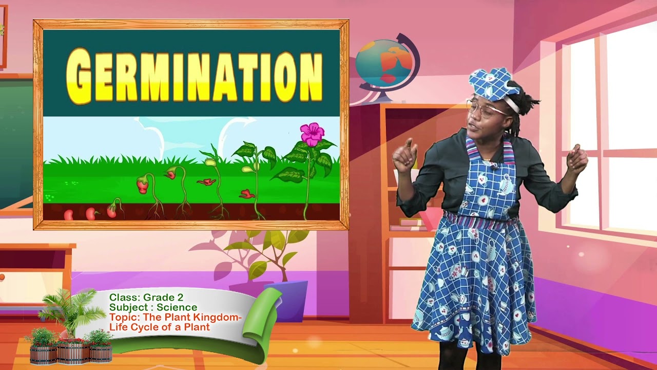 Science - Grade 2: The Plant Kingdom - Life Cycle of a Plant