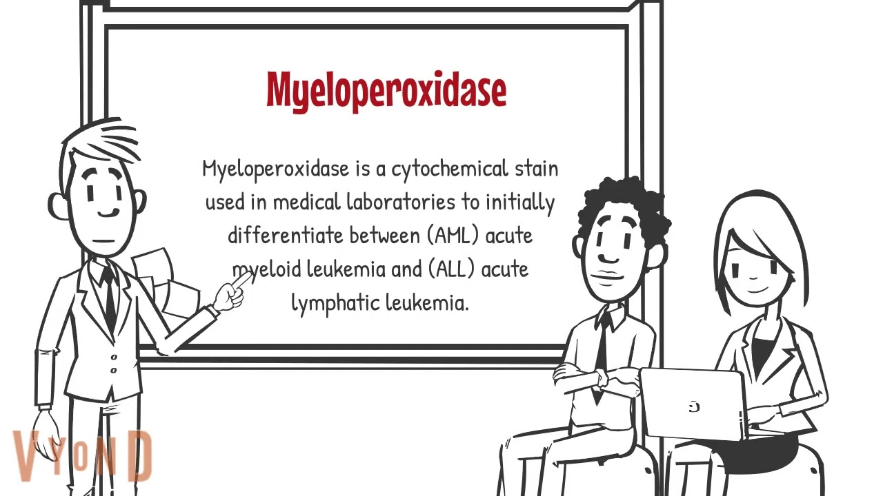 myeloperoxidase