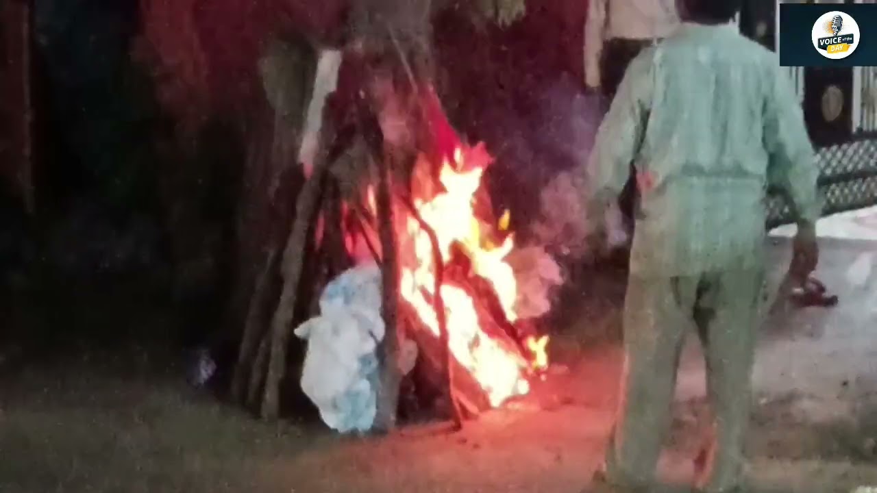 Holi is mostly Colour festival 🤣🤣🤣🤣 l Holi l Indian culture l Holi 2025