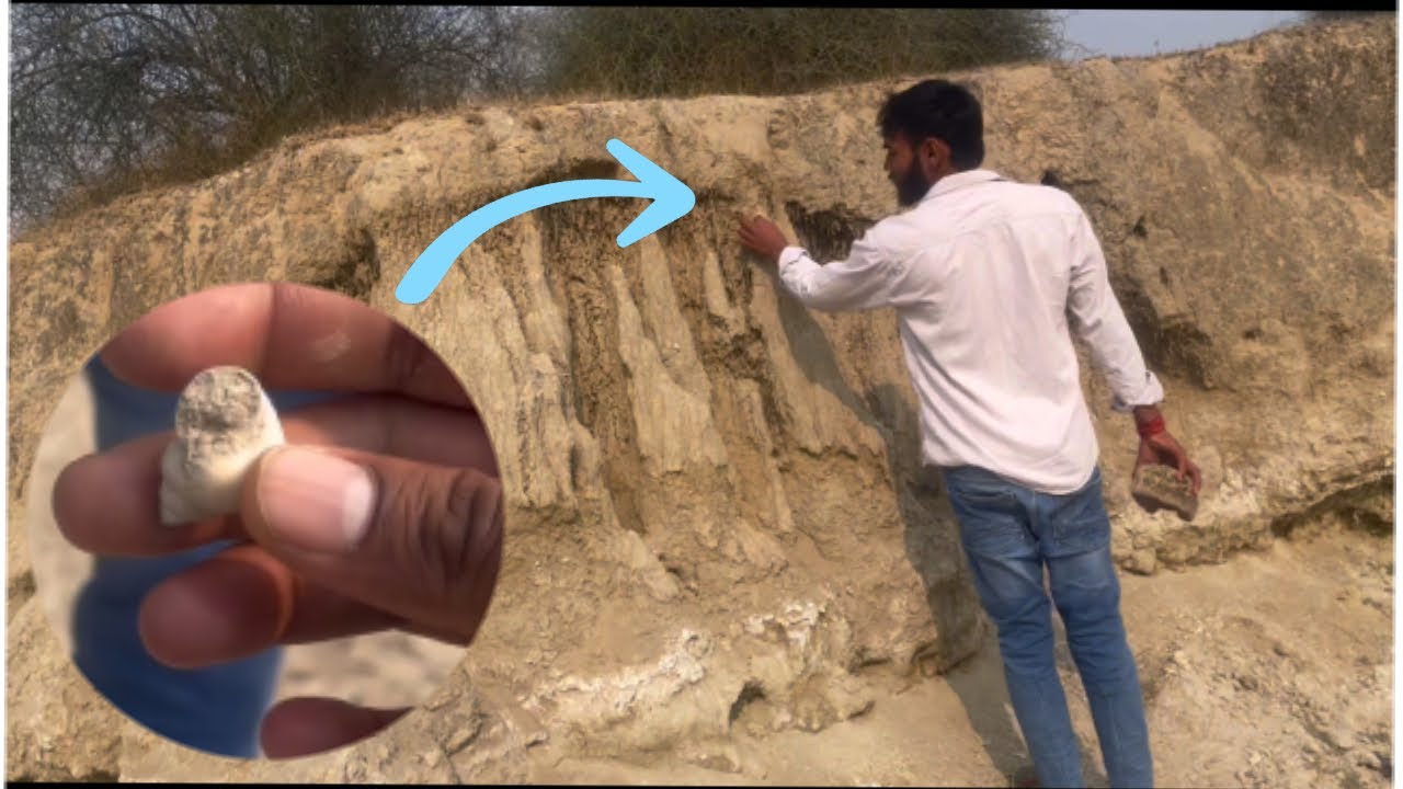 Janglo M Kya Mila😟😳