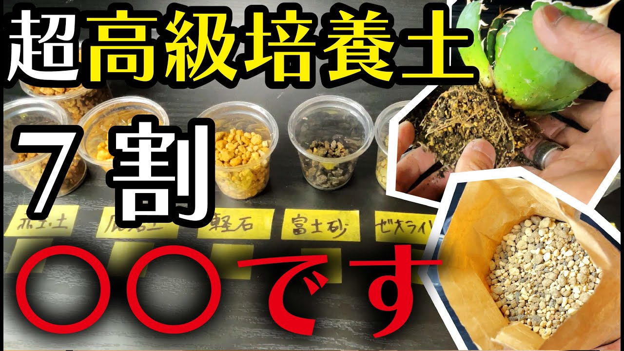 【アガベ】高級培養土のレシピ徹底解剖！【園芸育て方】【多肉植物】
