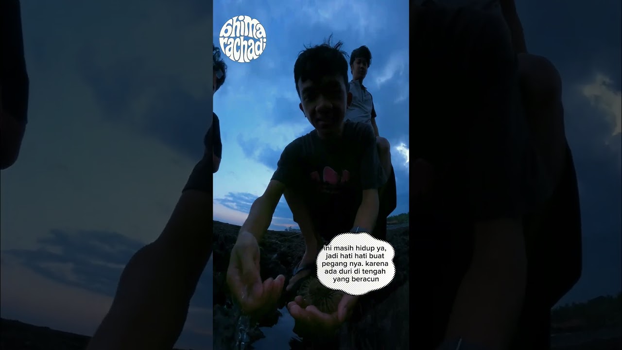 Berburu bulu babi di pantai saba gianyar
