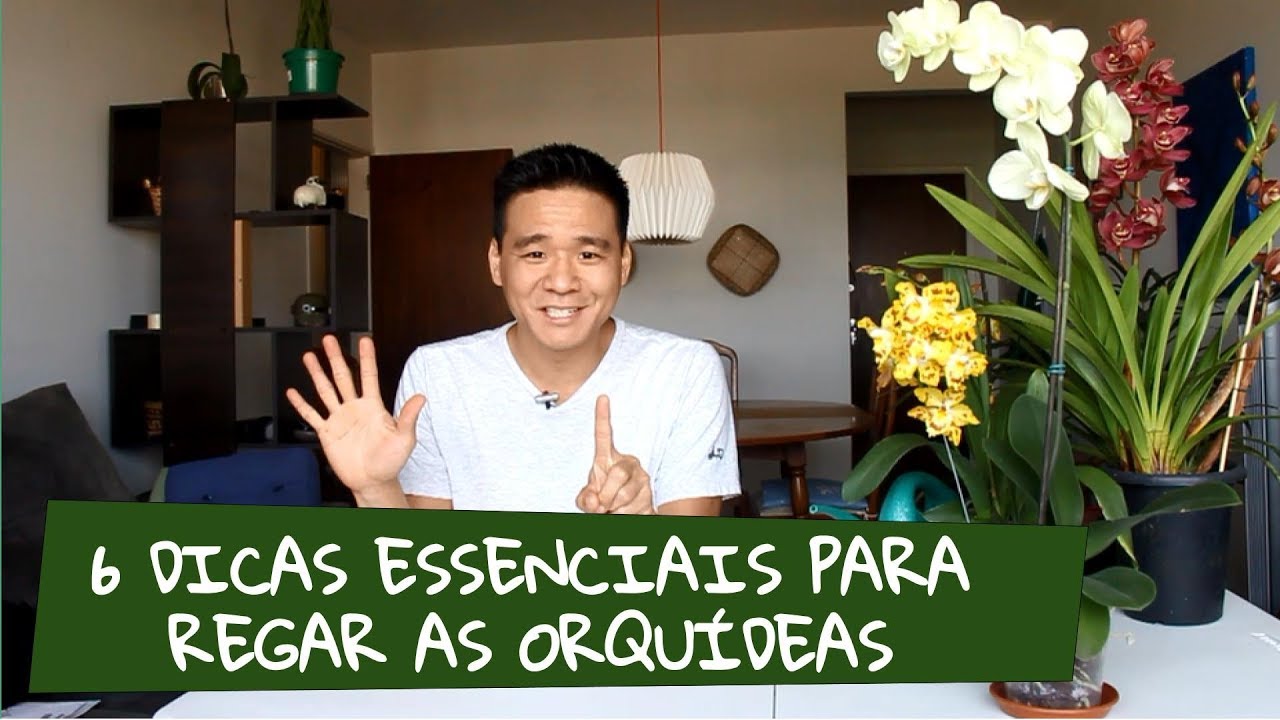 6 Dicas para regar as orqu&iacute;deas