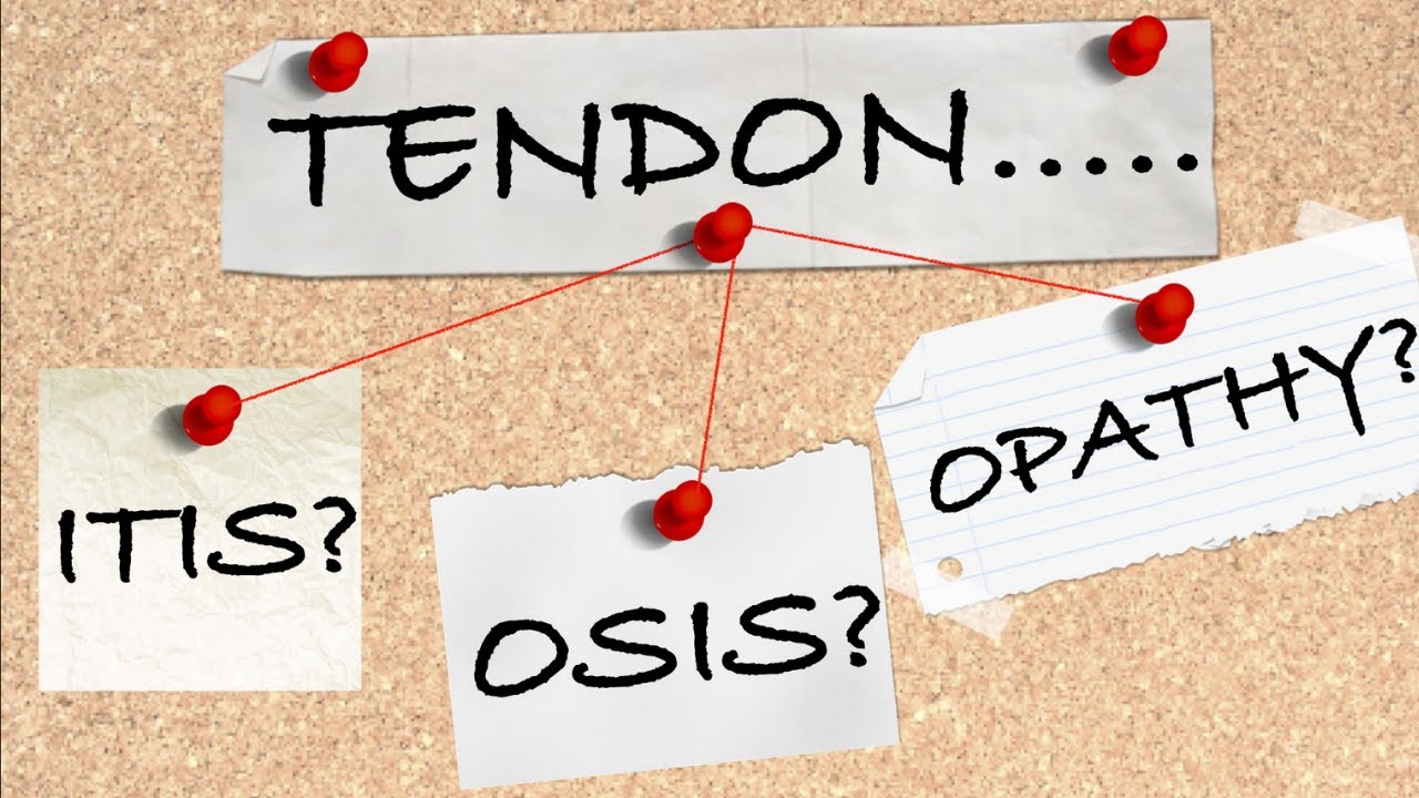 Tendinitis? Tendinosis? Tendinopathy? | Physio Talks Tendons