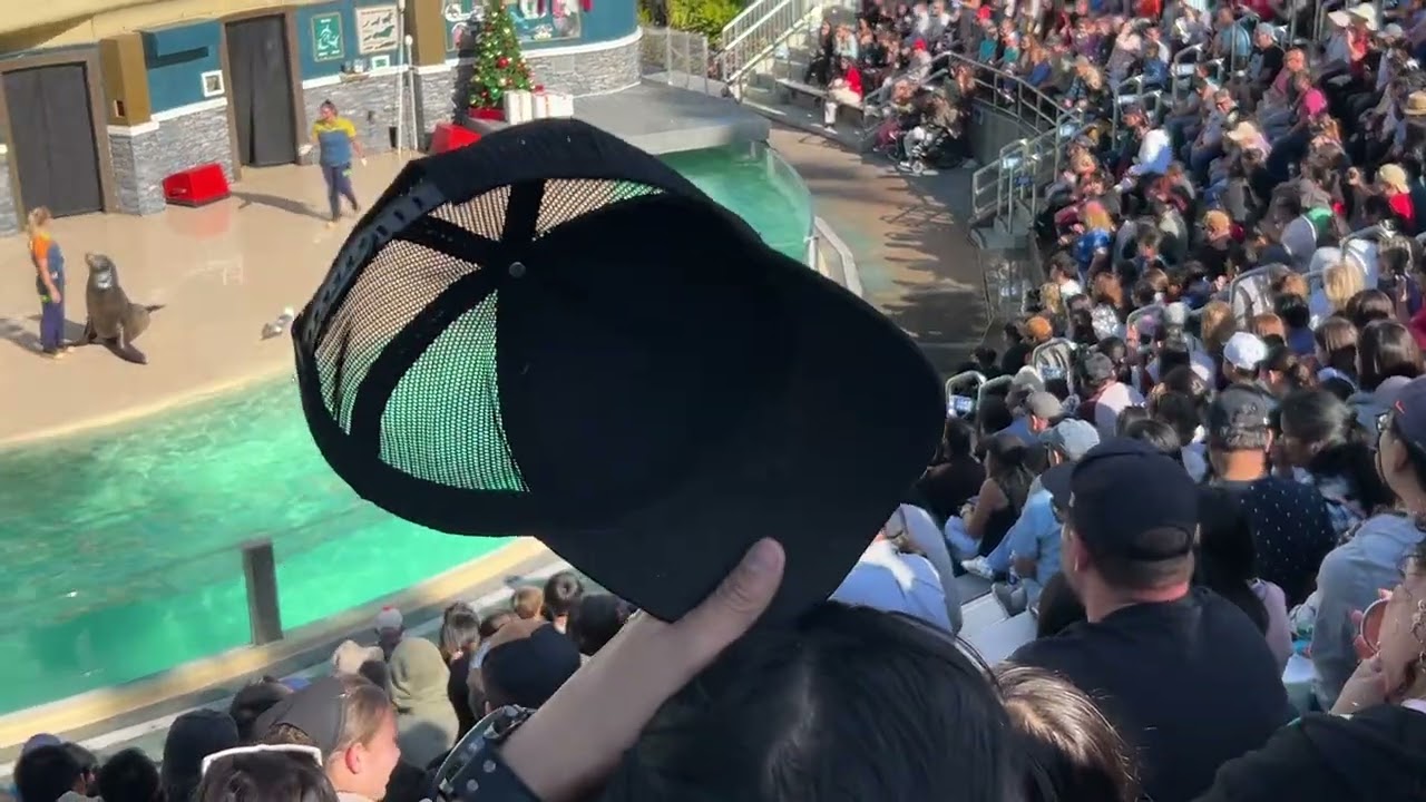 Muy dibertido el show 🥹😂😂
