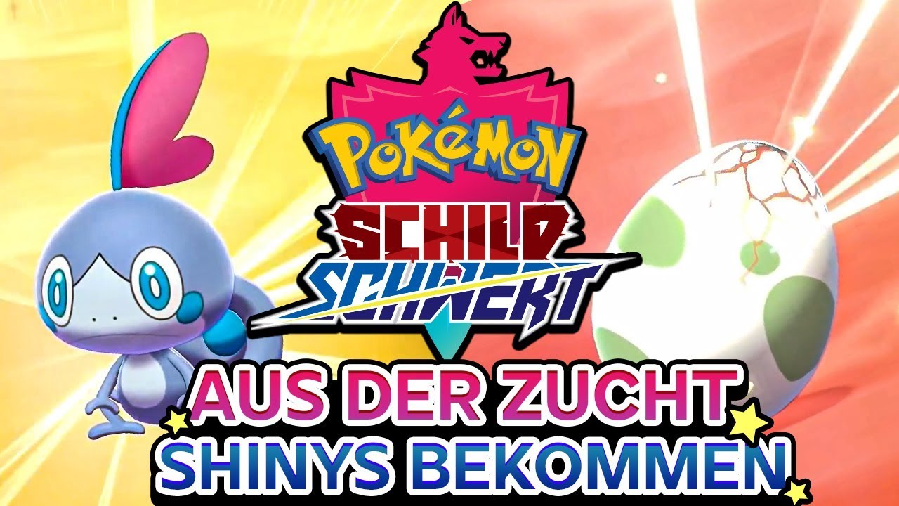 So züchtet ihr SHINY Pokémon ✨ POKÉMON Schwert & Schild