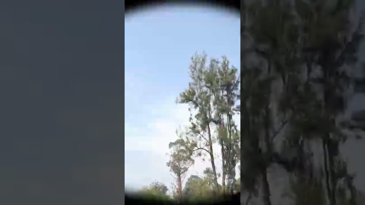 መማር Ebba T - inspire Ethiopia #shorts #youtube #ethiopia Donkey tube dink lejoch anki andebetoch