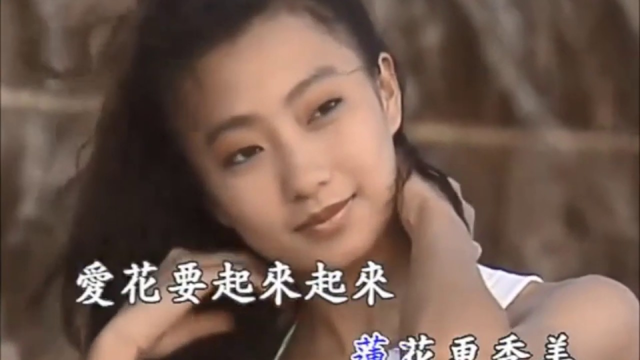 蔡幸娟 - 紅睡蓮（KTV）