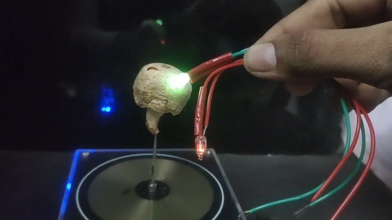 Tesla coil music experiment || tesla coil bijali experiment