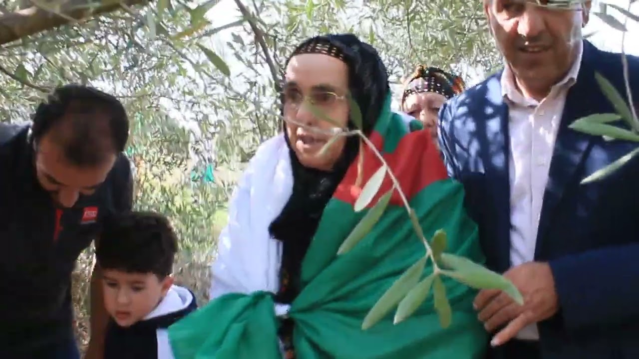 Visite à la tombe du Chahid Amara Said, le 1 novembre 2024 🇩🇿🇩🇿🇩🇿🇩🇿 Gloire à nos martyrs.