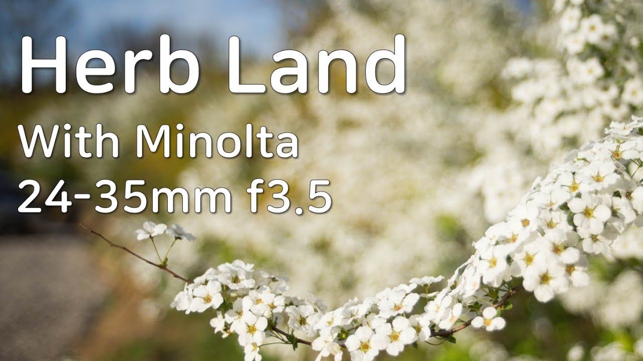 🇰🇷'Herb Land' Korea Travel Story: Minolta Zoom 24-35mm f3.5+Sony A7