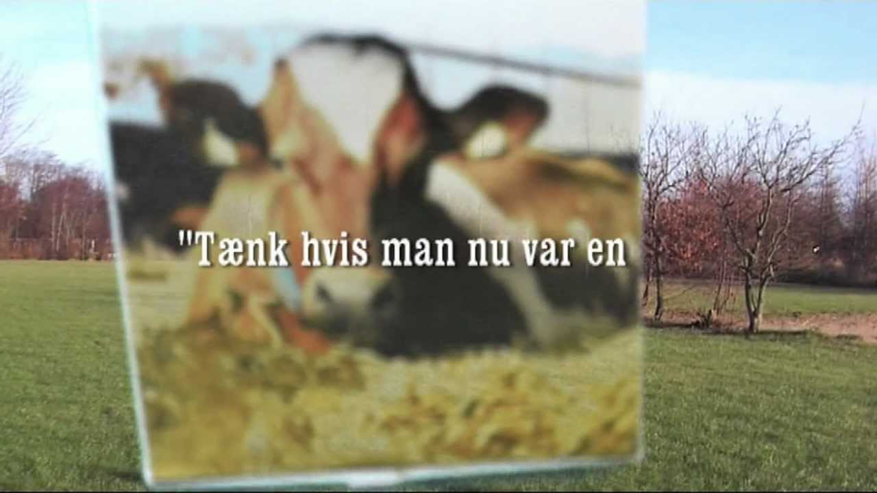 Fensk&aelig;r Efterskole TV: Hede dr&oslash;mme p&aring; Fensk&aelig;r Efterskole