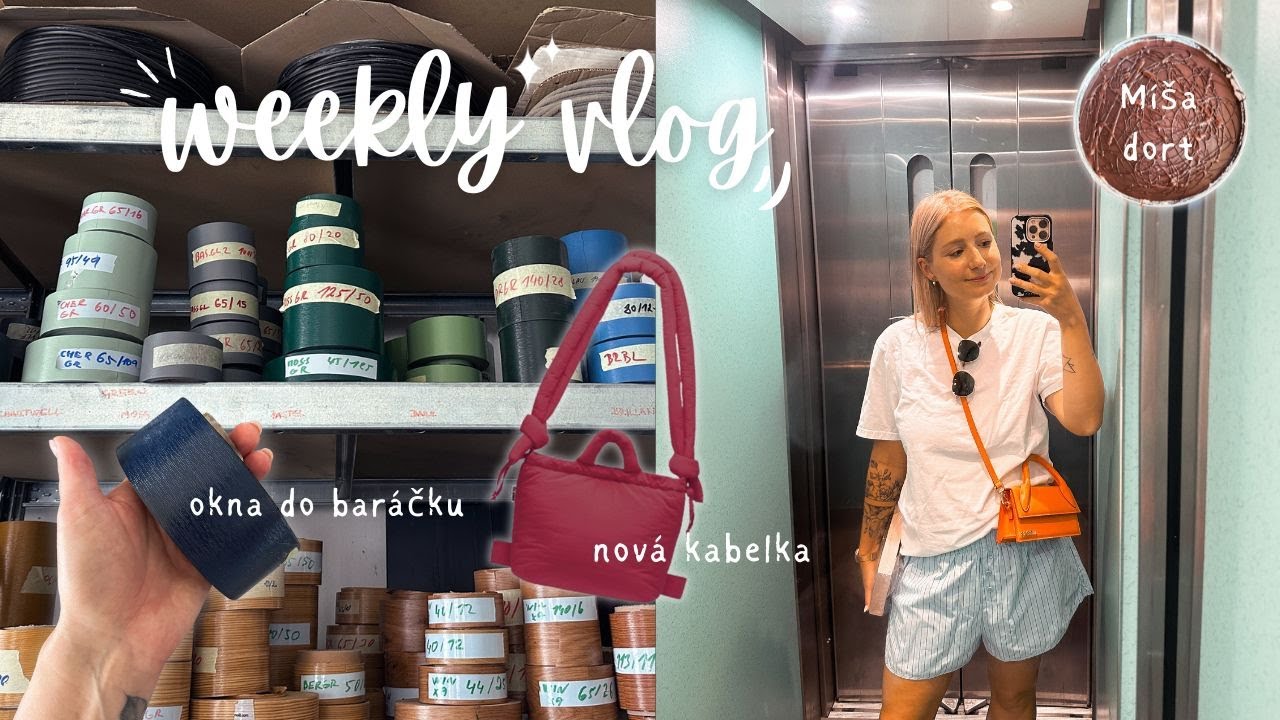 VYBÍRÁME OKNA, NOVÁ KABELKA A MÍŠA DORT | Flabgee