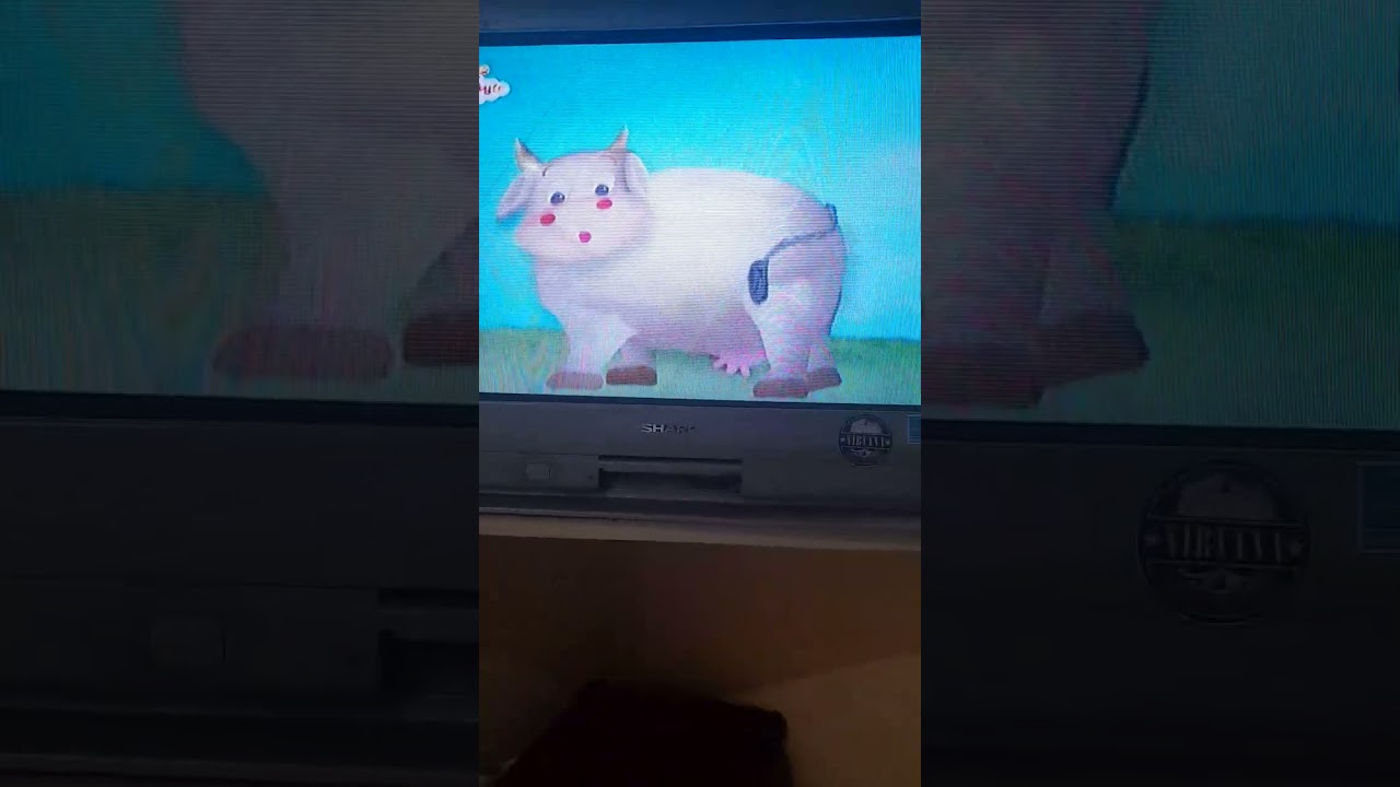 Oliver descubre (babyTV) el establo de vacas