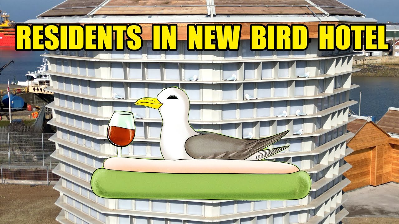 Kittiwake Hotel in Hartlepool March 2025