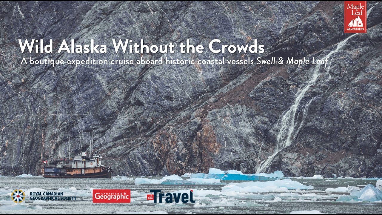 Grizzlies, Glaciers & the Inside Passage   Alaska Webinar
