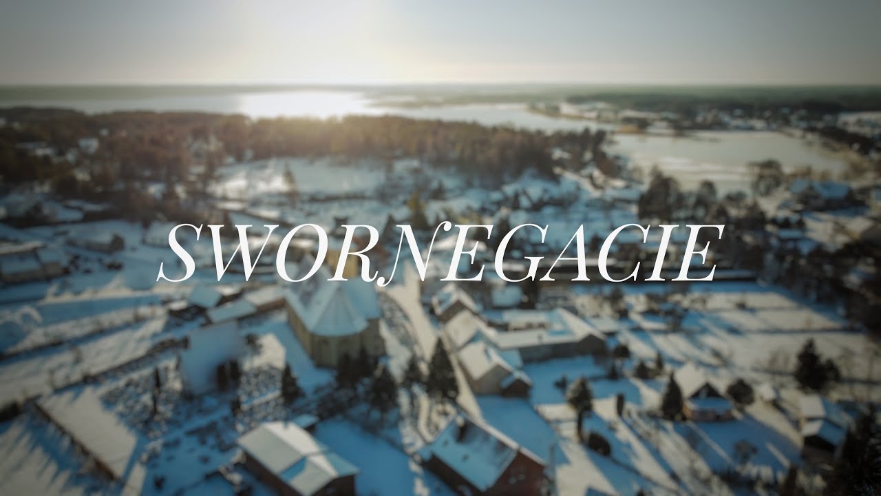SWORNEGACIE - DJI Mavic Mini 2 / Lumix G80