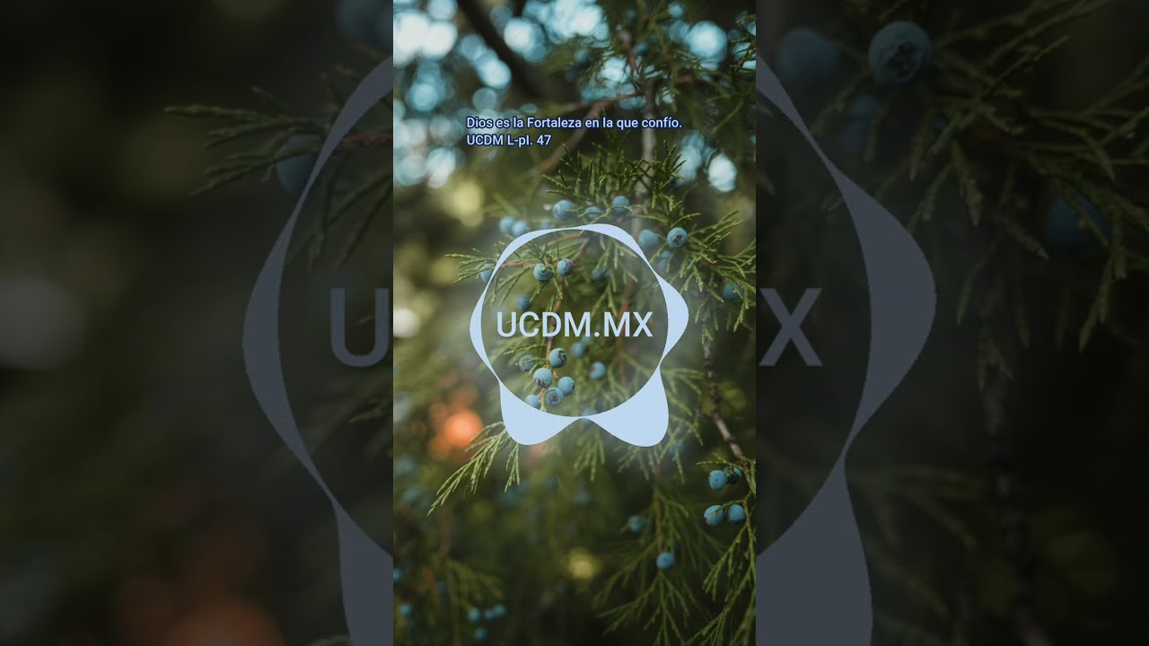 Lección 47. Libro de ejercicios de Un Curso de Milagros.  #ucdm #ucdmmexico #dios #paz #amor 